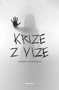 Krize z vize