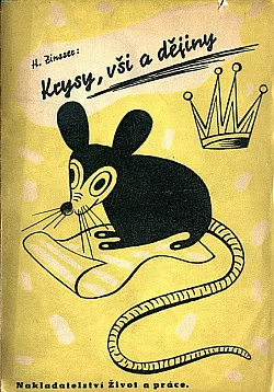 Krysy, vši a dějiny