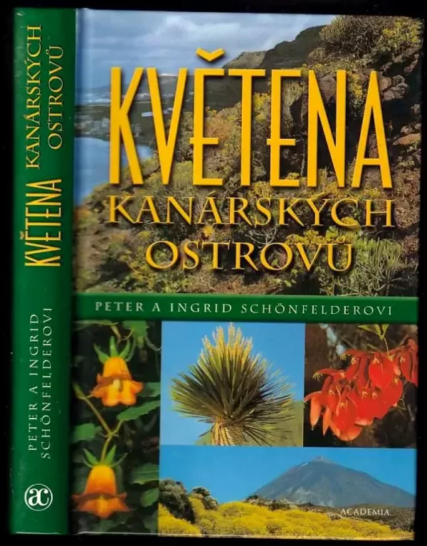 Květena Kanárských ostrovů