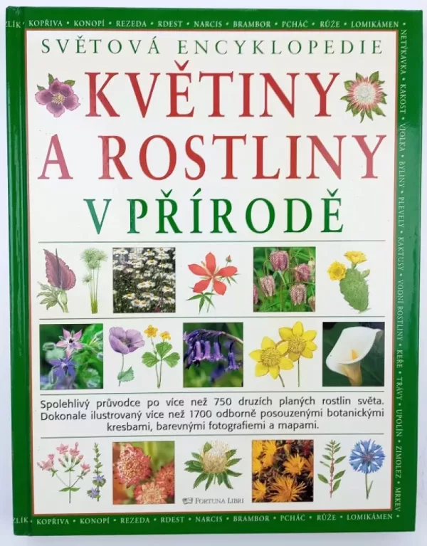 Květiny a rostliny v přírodě