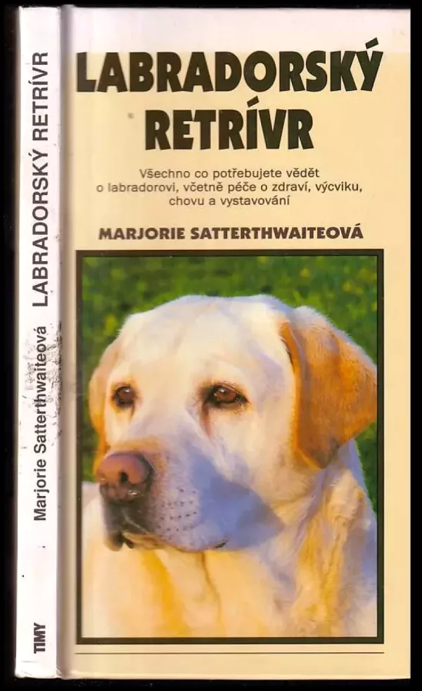 Labradorský retrívr