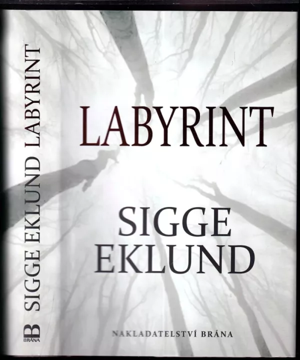 Labyrint