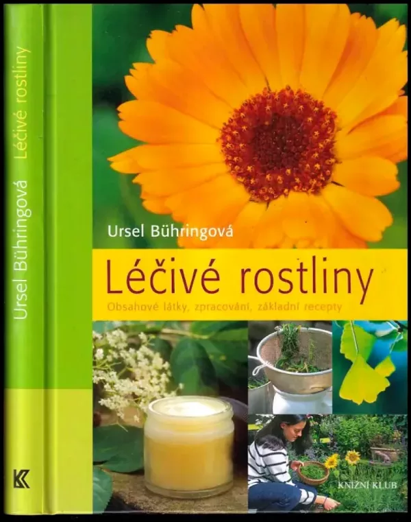 Léčivé rostliny