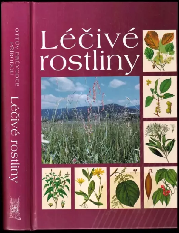 Léčivé rostliny