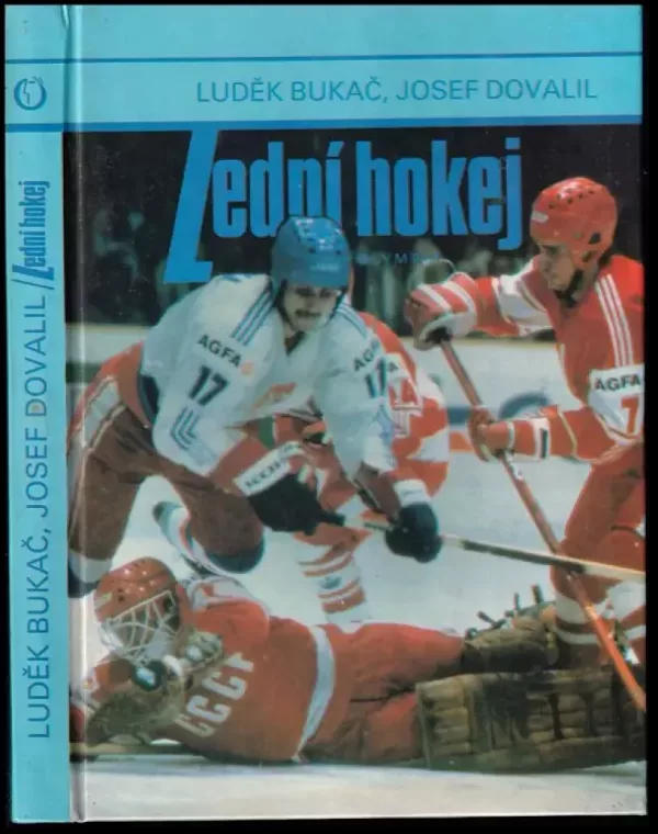 Lední hokej
