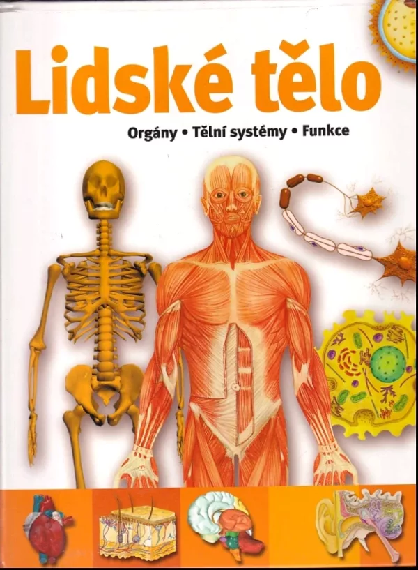 Lidské tělo