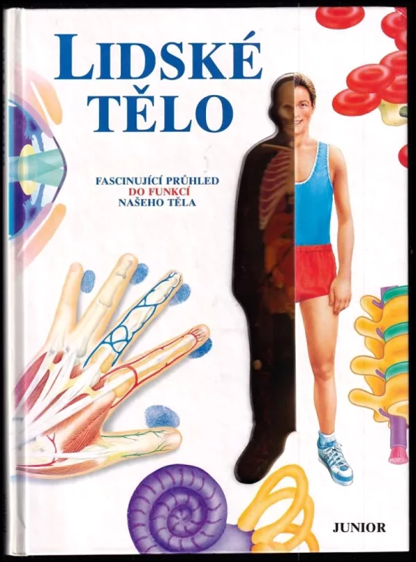 Lidské tělo