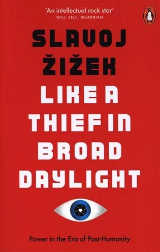 Like A Thief In Broad Daylight : Power in the Era of Post-Humanity