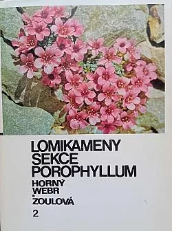 Lomikameny sekce Porophyllum 2