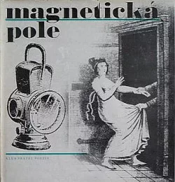 Magnetická pole