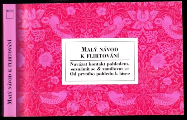Malý návod k flirtování