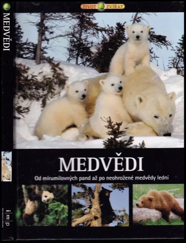 Medvědi