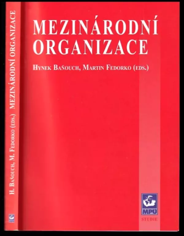 Mezinárodní organizace