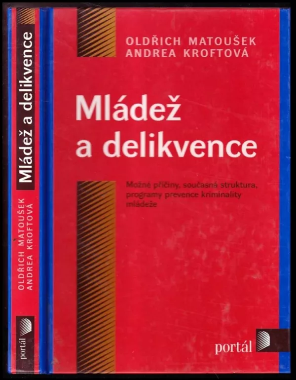Mládež a delikvence