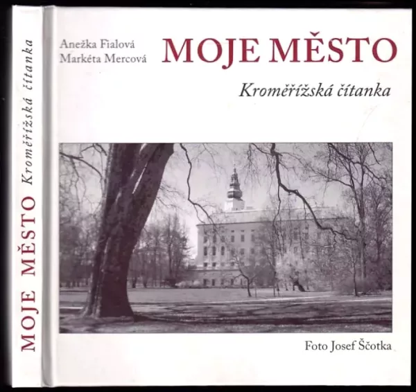 Moje město