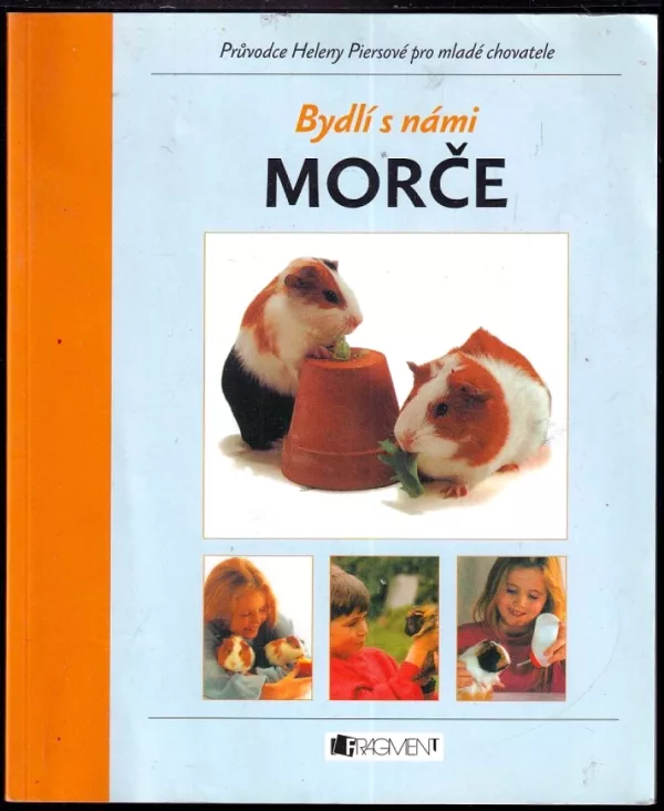 Morče