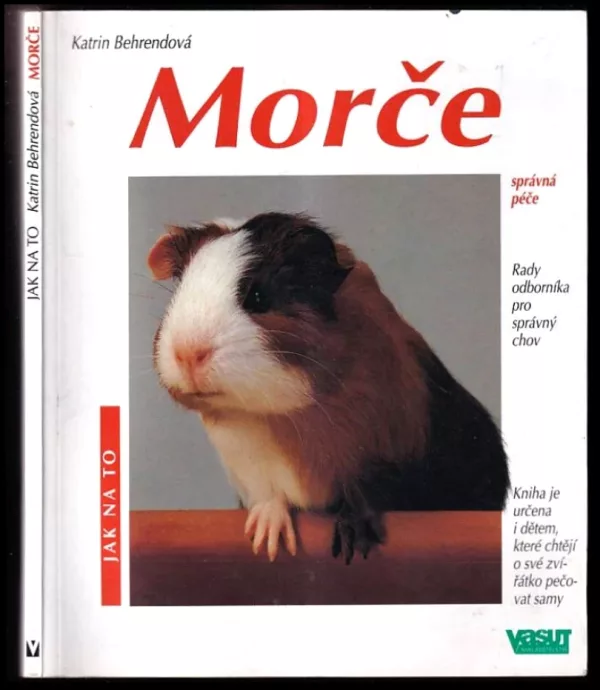 Morče. Jak o ně pěčovat a jak mu porozumět