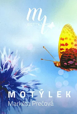 Motýlek