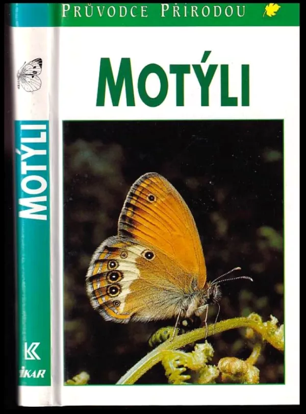 Motýli