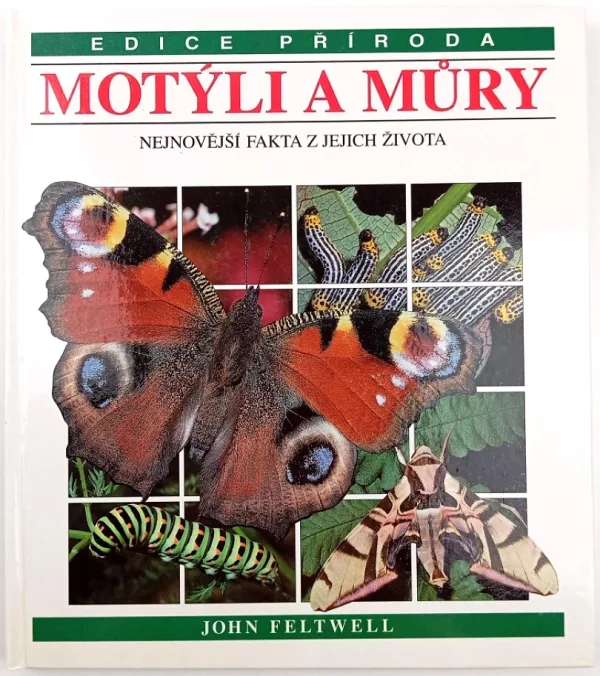 Motýli a můry