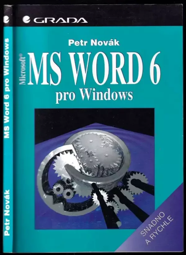 MS Word 6 pro Windows