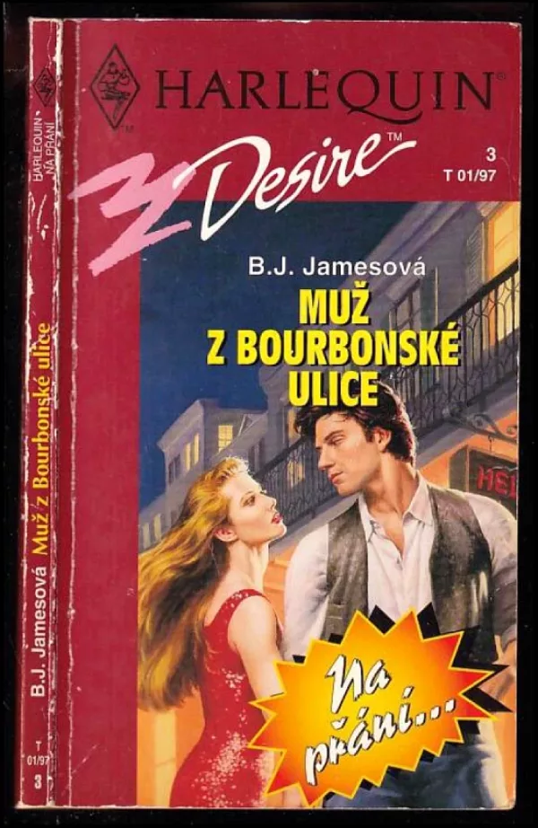 Muž z Bourbonské ulice
