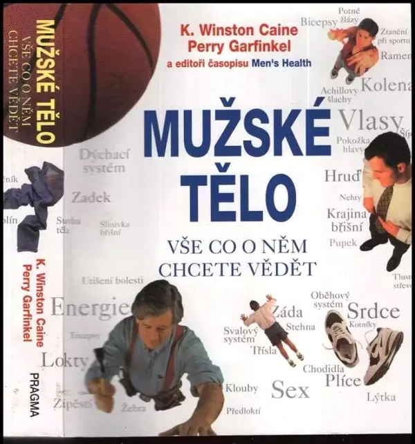 Mužské tělo