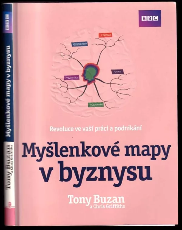 Myšlenkové mapy v byznysu