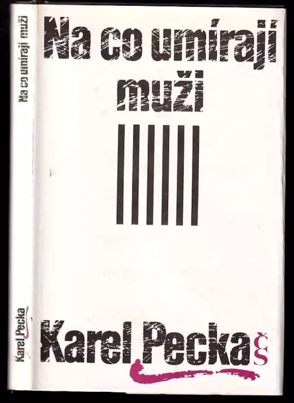 Na co umírají muži