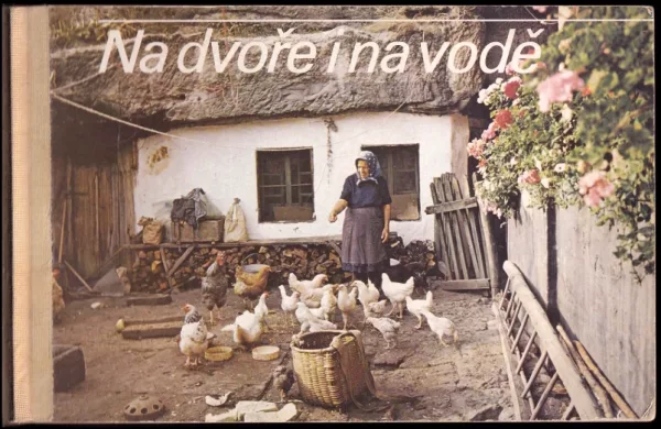 Na dvoře i na vodě