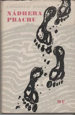 Nádhera prachu