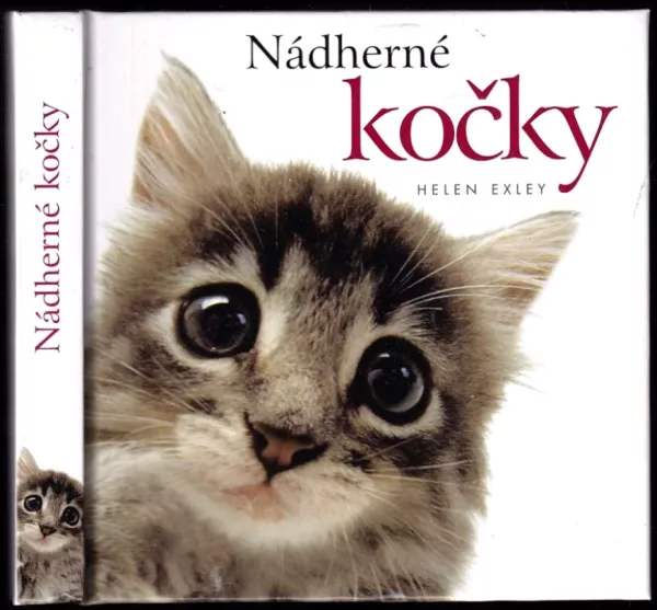Nádherné kočky