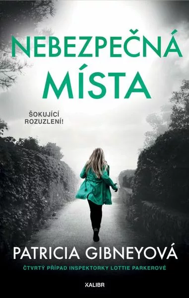 Nebezpečná místa