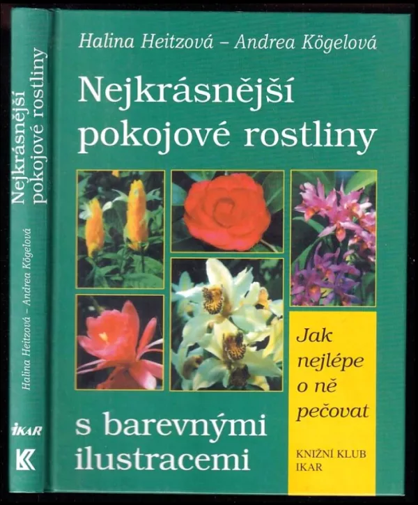 Nejkrásnější pokojové rostliny