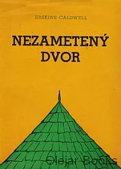Nezametený dvor