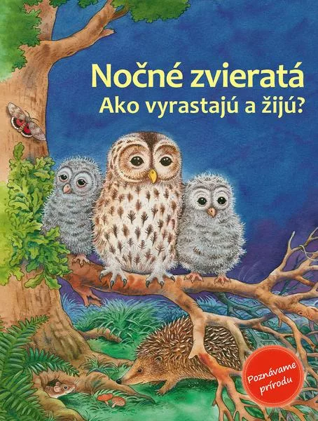 Nočné zvieratá