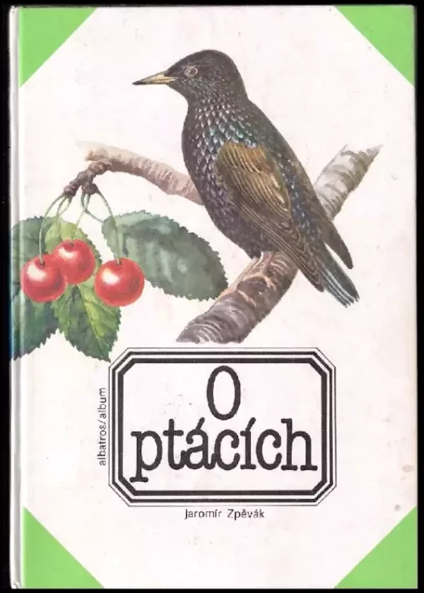O ptácích
