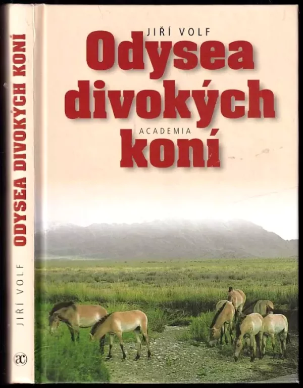 Odysea divokých koní