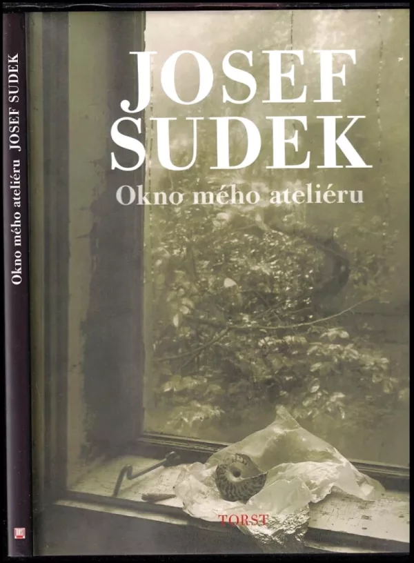 Okno mého ateliéru
