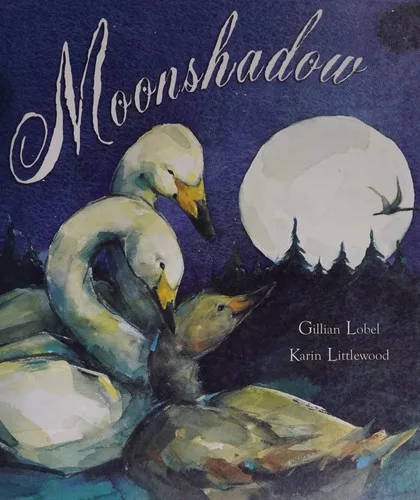 Moonshadow