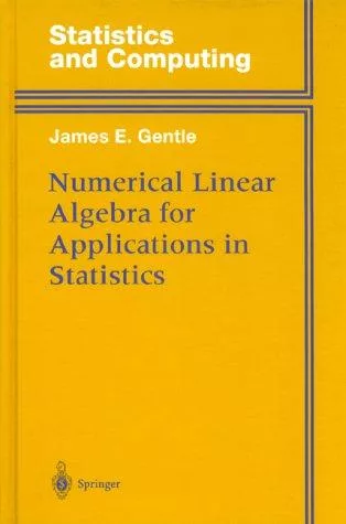 Numerical linear algebra for applications in statistics