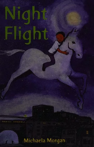 Night flight