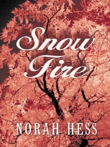 Snow fire