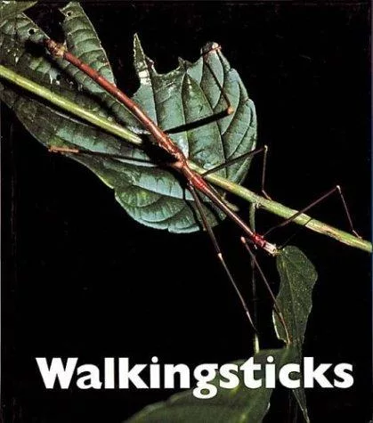 Walkingsticks