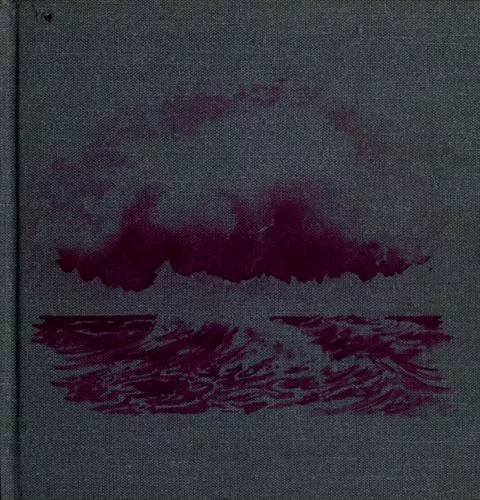The rain cloud