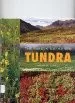 Tundra