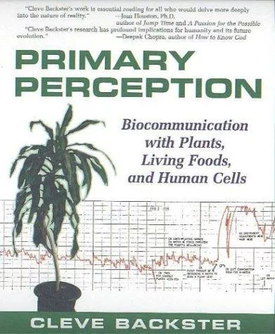 Primary Perception