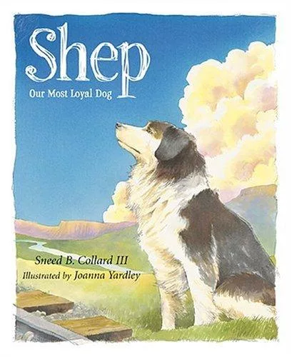 Shep