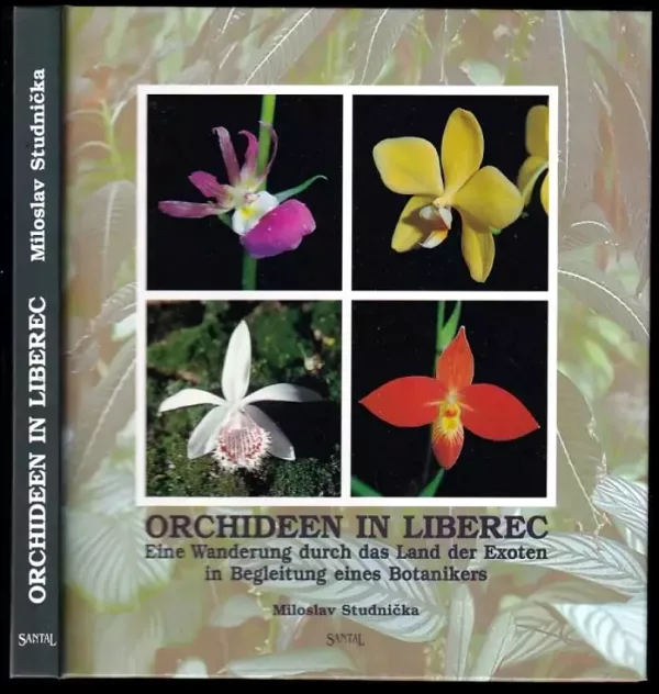 Orchideen in Liberec