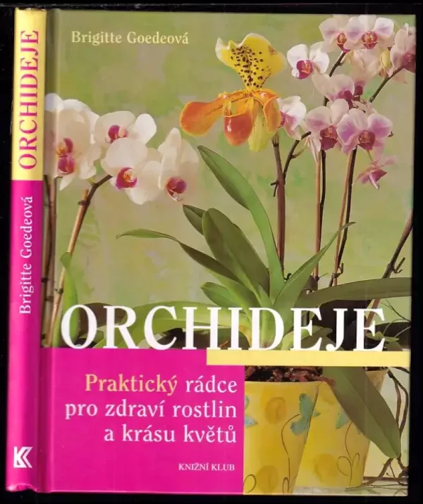 Orchideje